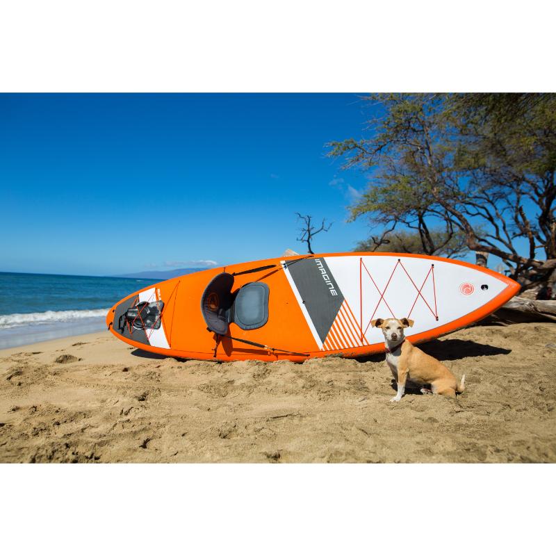 Imagine Surf Orange Bula with Dog