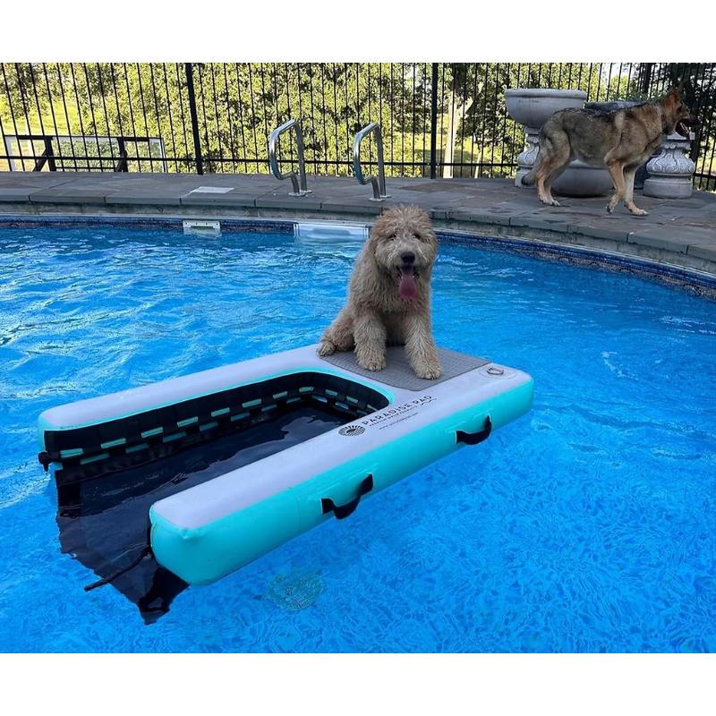 Paradise Pad Inflatable Dog Water Ramp Pool